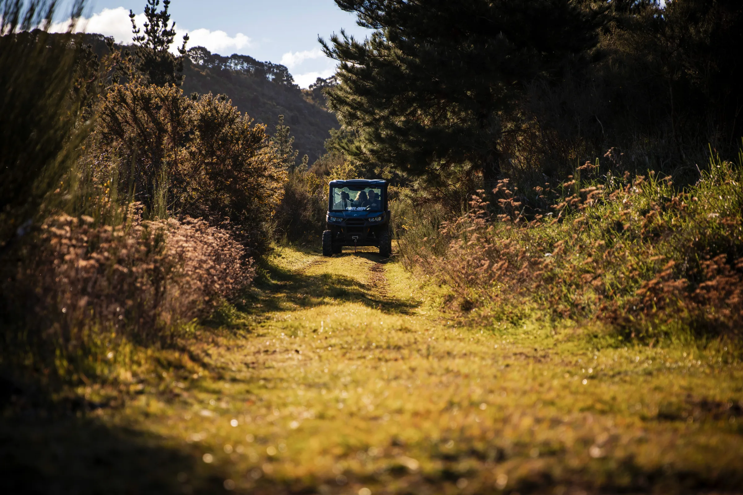 ATV Tour