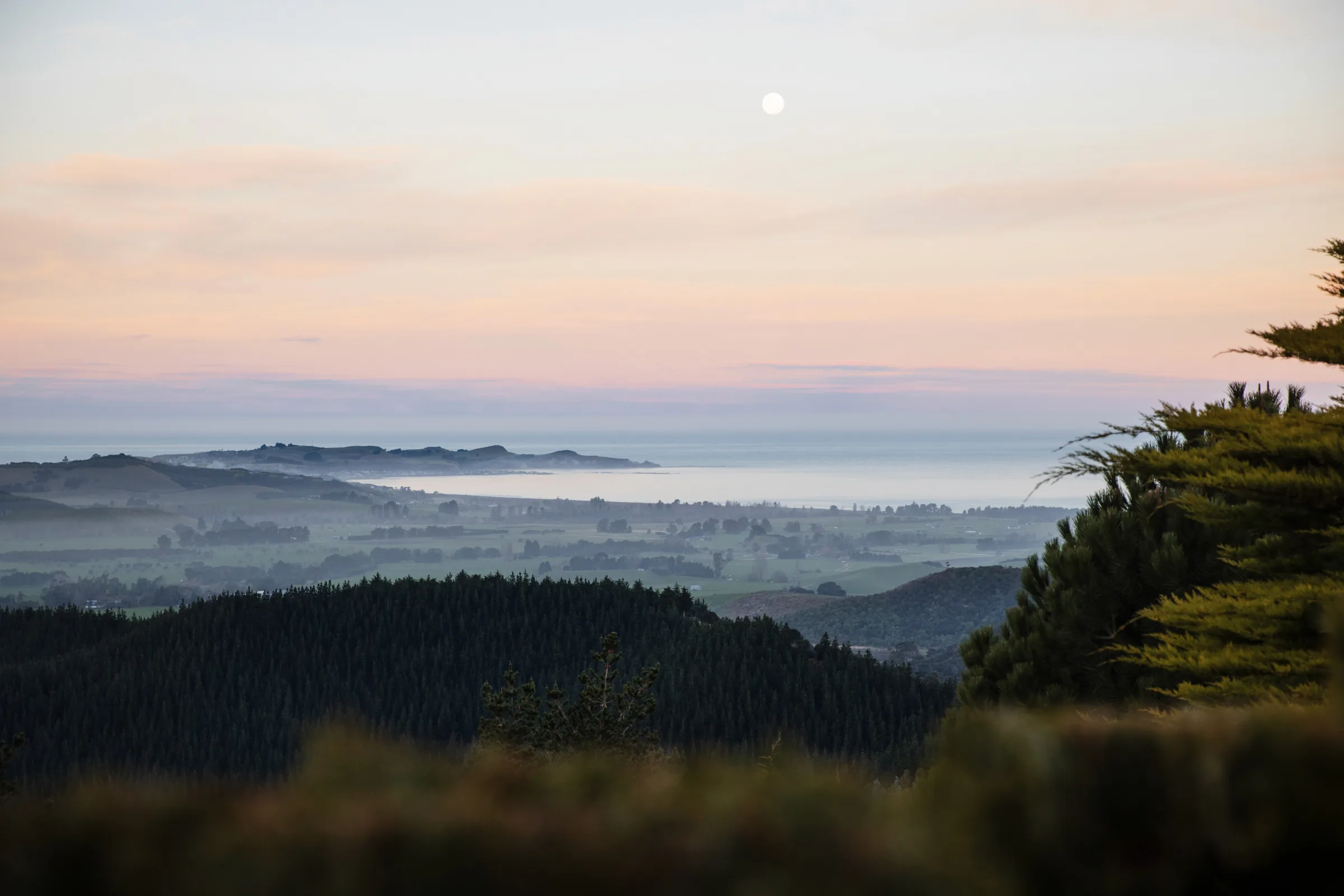 The Kaikōura Peninsula, a place of abundance